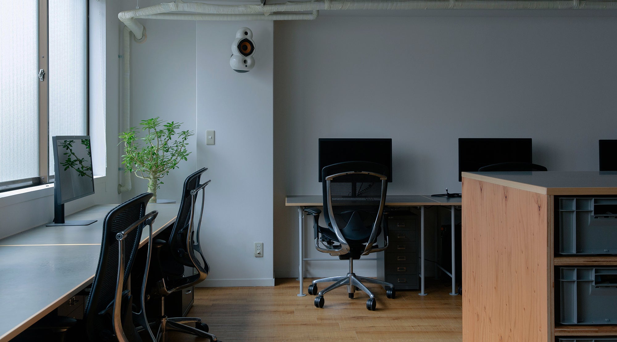 KIT
PROFESSIONAL
MEMBERS